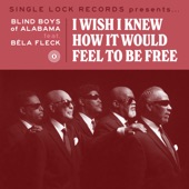 I Wish I Knew How It Would Feel to Be Free (feat. Bela Fleck) - Single