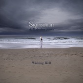Wishing Well (Anniversary Release) artwork