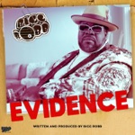 Evidence - Single