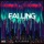 Falling (Feat. Harley Bird)