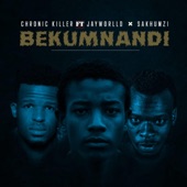 Bekumnandi (feat. Jayworlld & Sakhumzi) artwork