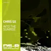 Stream & download Into the Sunrise - Single