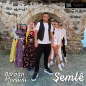 Şemle artwork