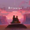Diljaniya (Rvcj Wrong Number Soundtrack) [Lofi Mix] - Single album lyrics, reviews, download