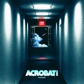 Acrobati artwork