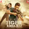 Tiger Zinda Hai (Original Motion Picture Soundtrack) album lyrics, reviews, download