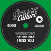 I Miss You (feat. Tracy Hamlin) [Extended Mix] artwork