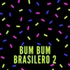 Mix Perreo Brasilero - Bum Bum Brasilero 2