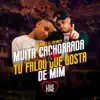 Stream & download Muita Cachorrada Vs Tu Falo Que Gosta de Mim - Single