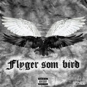 FLYGER SOM BIRD artwork