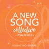 A New Song Collective, Psalm 40:3, Volume Two: Endure