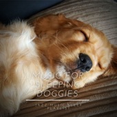 Music for Sleeping Doggies, Calming Jazz for Dogs artwork