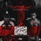 ShiShi Gang - Pablo Chill-E lyrics