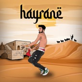 Hayrane artwork