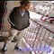 Petty (feat. Trae Flocka) - Gambino NTG lyrics