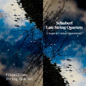 String Quartet No. 12 in C Minor, D. 703 "Quartettsatz": I. Allegro assai artwork