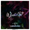What's Up? - Single album lyrics, reviews, download