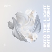 Into the Light (feat. Niiella) artwork