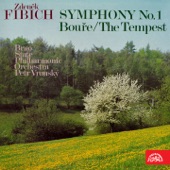 Fibich: Symphony No. 1 and The Tempest artwork