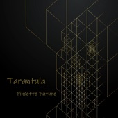 Tarantula artwork