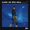 Look At the Sky artwork