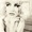 Annie Lennox - Eurythmics - I need a man