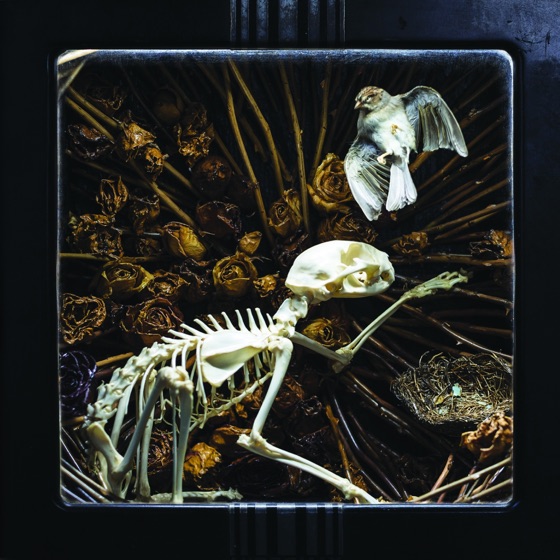 Cover artwork for The Chariot