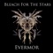 Skin Yard - Bleach For The Stars lyrics