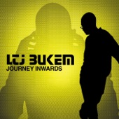 LTJ Bukem - Undress Your Mind