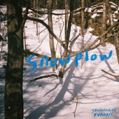 Snowplow (feat. Skullcrusher) artwork