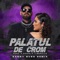 Palatul De Crom (Danny Burg Extended Remix) - Runa, NOSFE & Timebelle lyrics