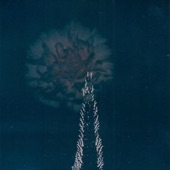Blue Rose artwork