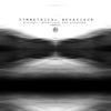 Symmetrical Behaviour - Biology, Behaviour and Disorders