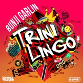 Trini Lingo artwork