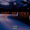 Vibe Noturna - Single