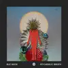 Psychedelic Breath - Single album lyrics, reviews, download