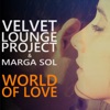 World of Love (Chill Remix) - Single