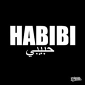Habibi artwork