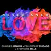 Never Knew Love (feat. Stephanie Mills) - Single album lyrics, reviews, download