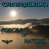 Forces of Nature artwork