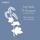 Sonata for Violin & Harp, Op. 113: III. Rondo allegretto