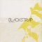 Midnight Stars - Blackstrap lyrics