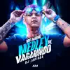 Stream & download Medley de Vagabundo - Single