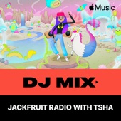 Jackfruit Radio (DJ Mix) artwork