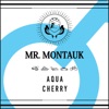 Mr Montauk - Single
