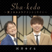 Sha-kedo～愛されるよりアインシュタイン～ artwork