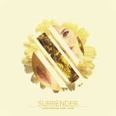 Surrender (feat. Thomas Daniel) artwork