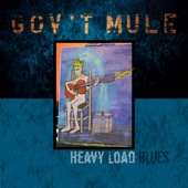 Gov't Mule - Love Is A Mean Old World
