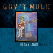 Gov't Mule - Black Horizon