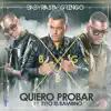 Quiero Probar (feat. Tito El Bambino) - Single album lyrics, reviews, download